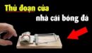 Những bẫy tâm lý của nhà cái BK8 mà dân cá độ nên biết